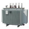 S11ϵ1035KV28
