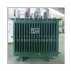 רҵS9-M-30KVA28