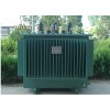 s13-M-30~1000kva˫ŵѹȫܷ28